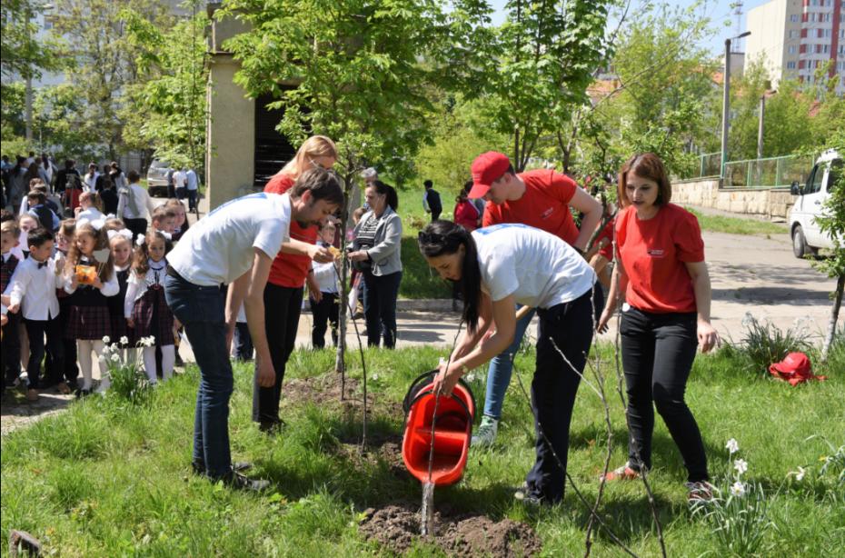 (foto) Elevii de la „Mihai Viteazul” au plantat prima lor livadă de meri