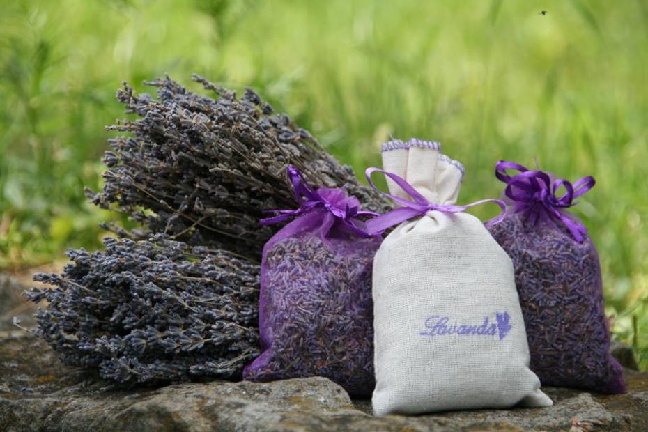 lavanda-3