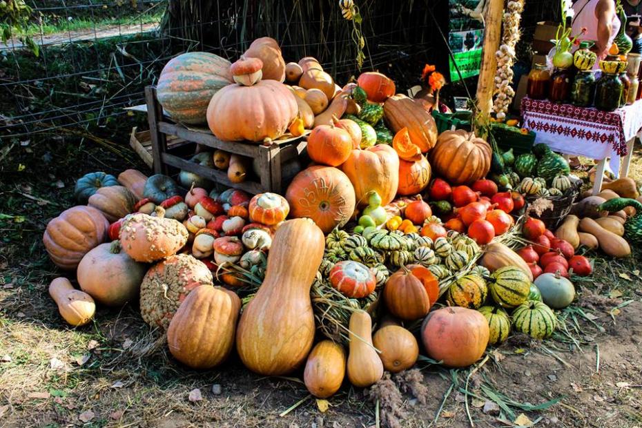 Festivalul Etno Gastronomic „Bostaniada” revine acasă, la Lozova. Iată când va avea loc cea de-a VI-a ediție