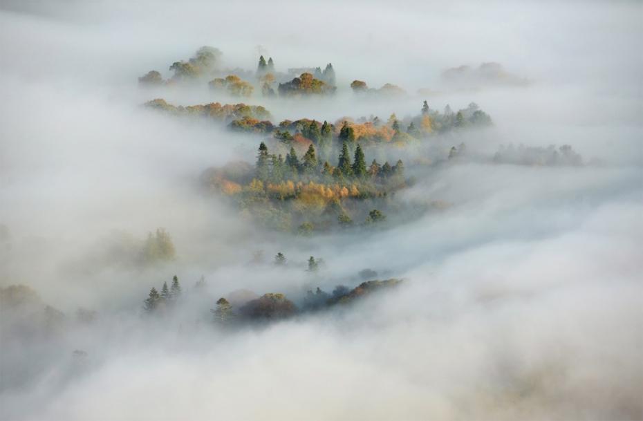 Ceață tomnatică (Paul Kingston)