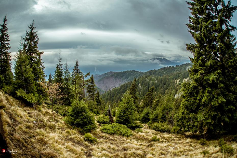 (galerie foto) Toamna la munte văzută prin obiectivul fotografului #diez – Dinu Bubulici