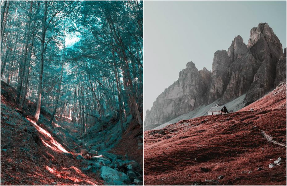 (foto) O lume ce pare trecută prin filtrele de pe Instagram. Cum percep culorile persoanele afectate de Tritanopie