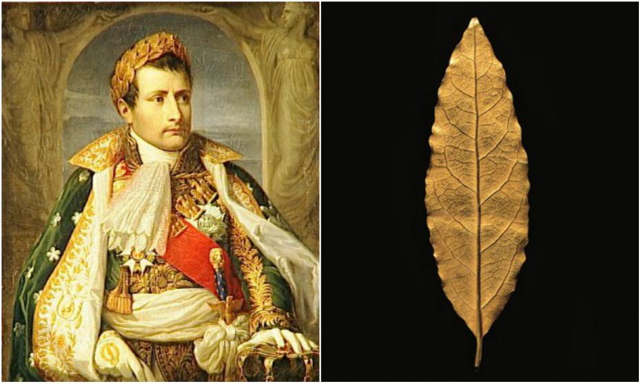 (foto) O frunză de aur adjudecată la licitație. Piesa din coroana lui Napoleon a fost vândută cu 625.000 de euro