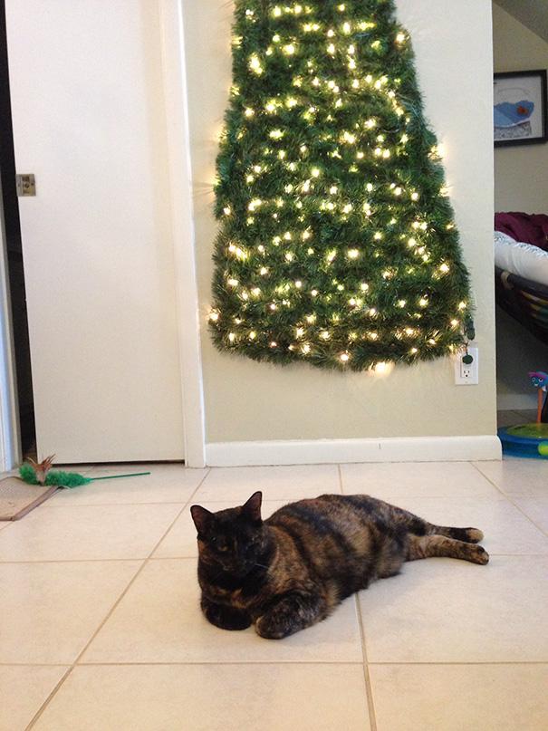 protecting-christmas-tree-from-dogs-cats-pets-6-585a66c36e602__605