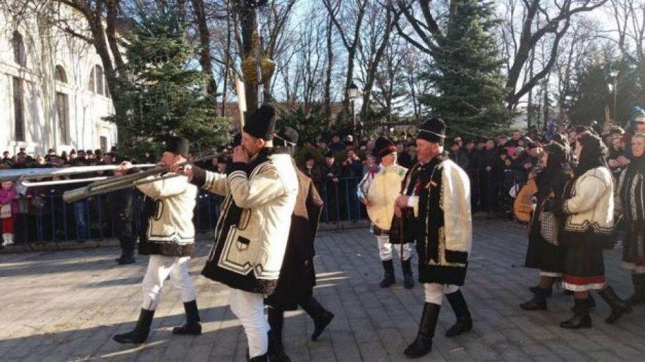 6-caprele-si-ursii-de-la-botosani-au-plecat-cu-uratul-prin-vecini-galerie-foto