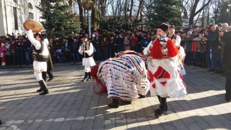 8-caprele-si-ursii-de-la-botosani-au-plecat-cu-uratul-prin-vecini-galerie-foto