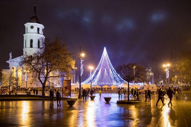 One-of-Europes-brightest-Christmas-trees-lights-up-in-Vilnius-LithuaniaThe-Lithuanian-capital (3)