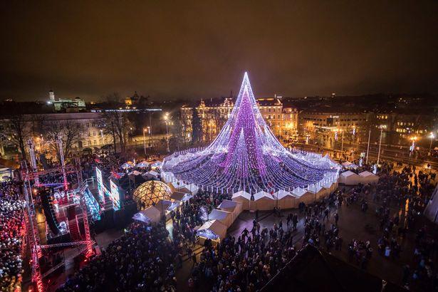 One-of-Europes-brightest-Christmas-trees-lights-up-in-Vilnius-LithuaniaThe-Lithuanian-capital