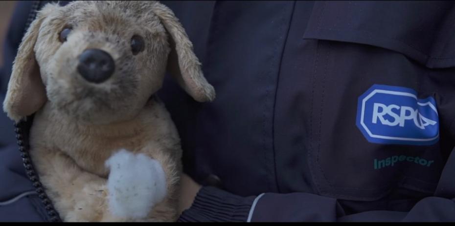 (video) Spoturi de Crăciun 2017. Istoria unui „cadou viu” aruncat în stradă