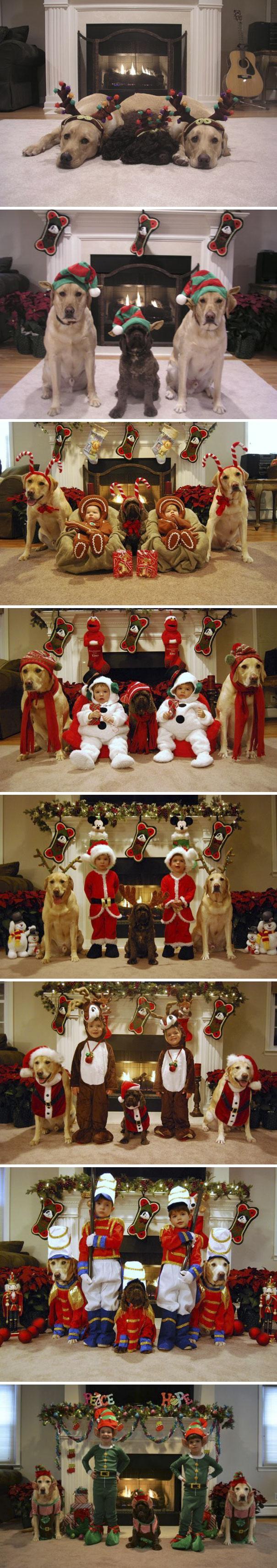 funny-family-christmas-cards-64-5a266951b04ad__605