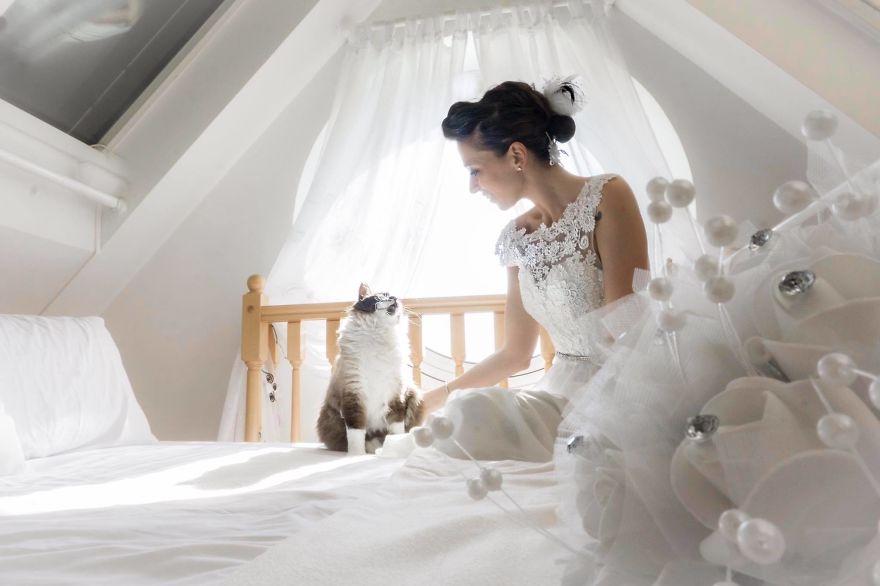 I-do-post-marriage-private-shooting-with-Cats-5a4deb6c89ed7__880