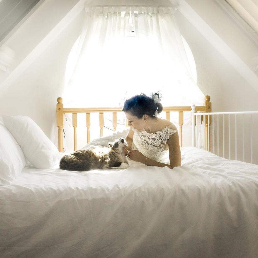 I-do-post-marriage-private-shooting-with-Cats-5a4deb6e6f180__880