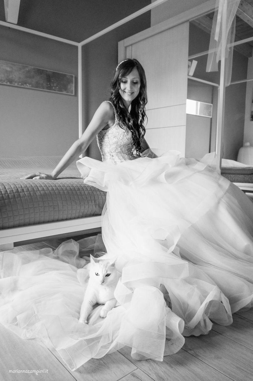 I-do-post-marriage-private-shooting-with-Cats-5a4deb7aa5073__880