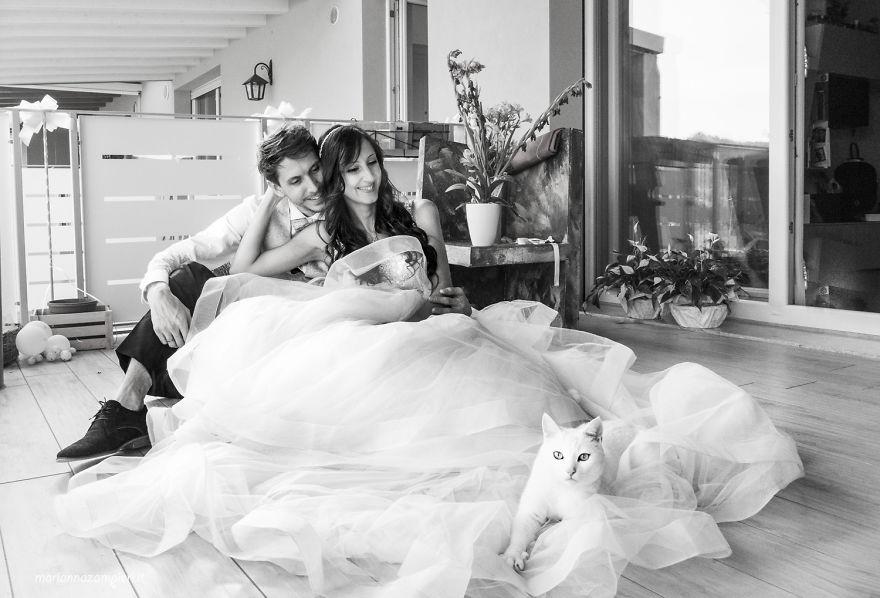 I-do-post-marriage-private-shooting-with-Cats-5a4deb7e9c44a__880