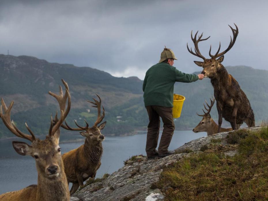 04-best-7-scottish-moors-deer-forest-antlers-estate-stalking.adapt_.1190.1