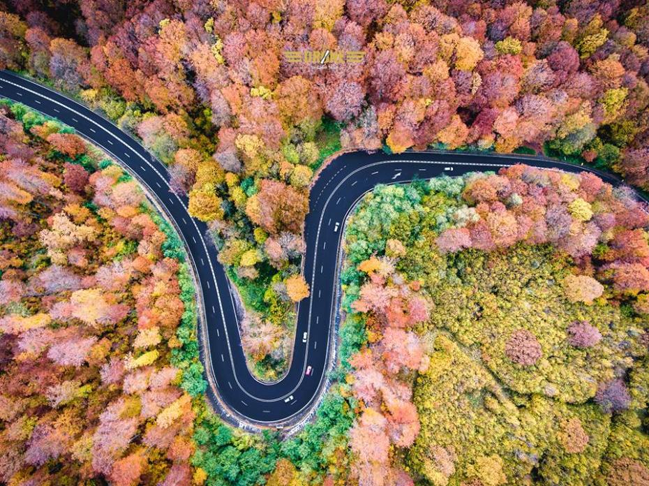 (foto) Un artist român a fotografiat autostrăzile Transilvaniei pentru a arăta „Ce vede Dracula în timpul zborului”