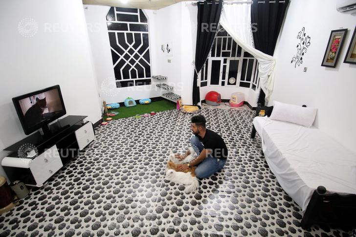 A veterinary medicine student play with cats in a cat hotel in Basra, Iraq, March 13, 2018. Picture taken March 13, 2018. REUTERS/Essam Al-Sudani