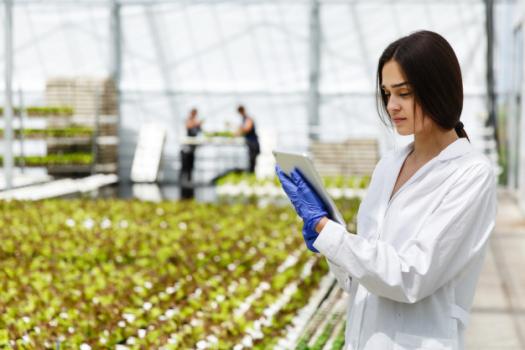 female-researcher-reads-information-from-a-tablet-standing-in-the-greenhouse_8353-7175