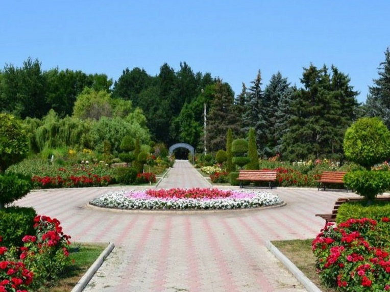 parcul-dendrarium-summer-fest