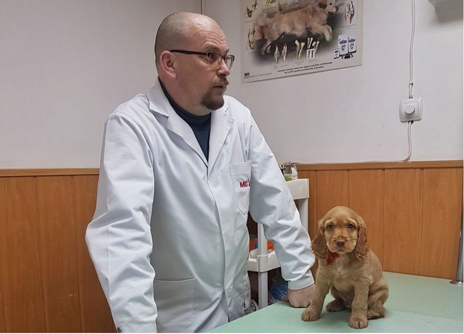 veterinar