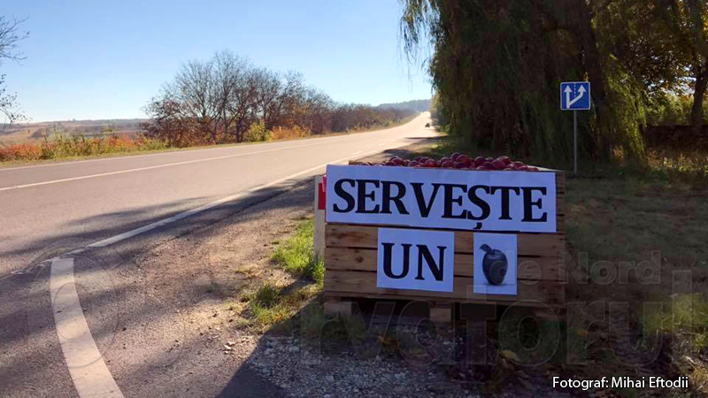 fz-serveste-un-mar