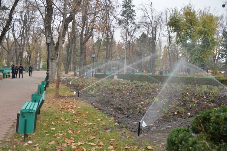 Suflante de strâns frunze, utilaj de sădit copaci și sistem de irigare. Câți bani au fost alocați pentru acestea