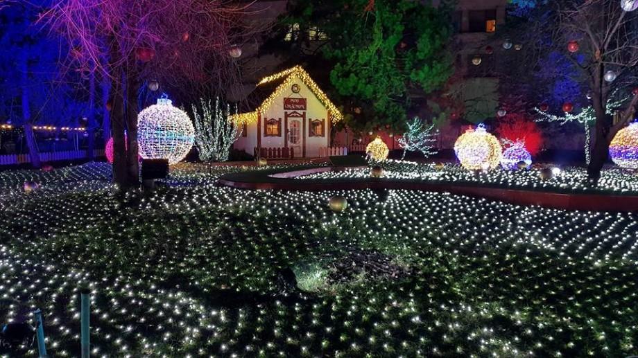 Guvernul va instala la Târgul de Crăciun un brad natural din România, de 20 de metri. Filip: „Va fi și o roată panoramică”