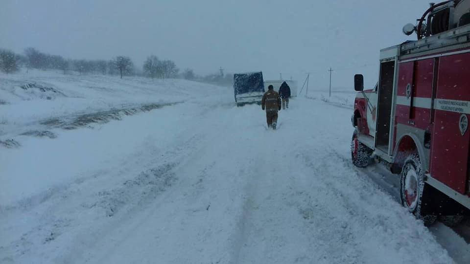 49676607_552129678587784_3220559567385526272_n