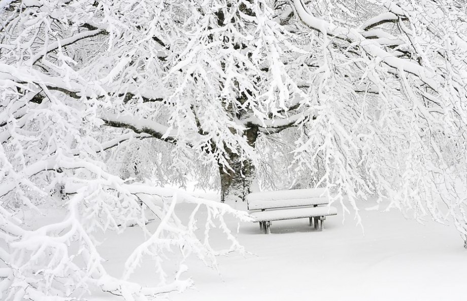 bench-cold-empty-209839-920×594