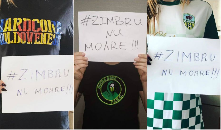 collage zimbru
