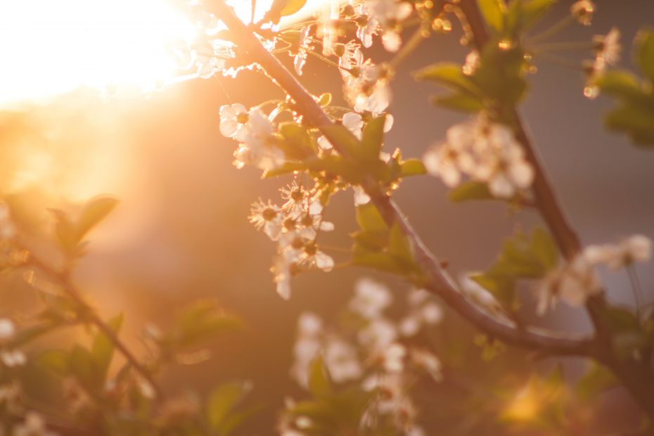 Nu vă păcălim! Cum va fi vremea de 1 aprilie în Moldova