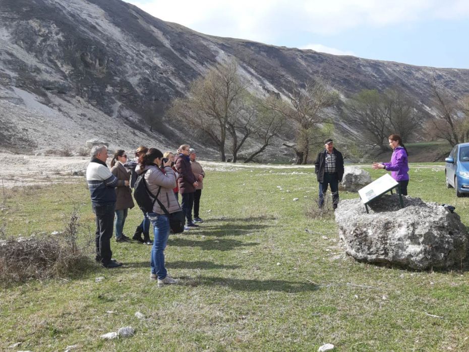 (foto) Birdwatchingul, o nouă atracție turistică. Unde în Moldova poți urmări viața celor mai rare păsări din țară