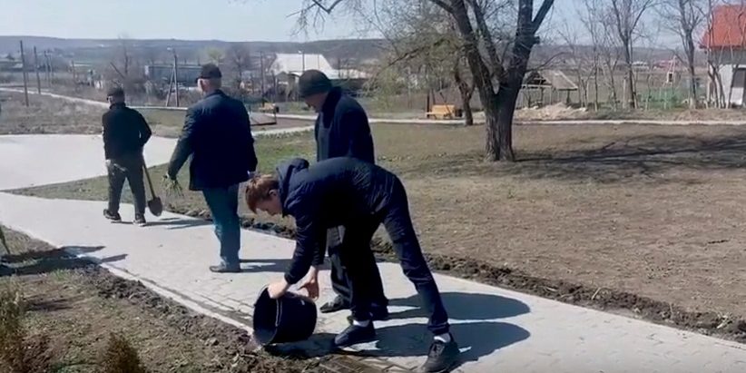 (video) Cum se implică tinerii din satul Sadaclia la înverzirea satului