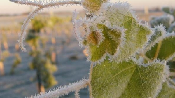 (foto) Cod galben de îngheț în Moldova. Care sunt raioanele în care temperatura va ajunge până la -4 °С