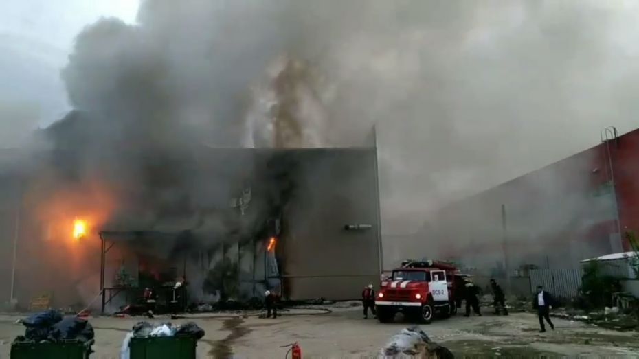 fdfd