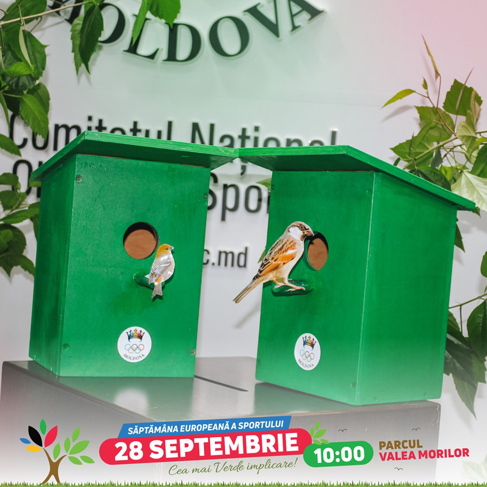 Ecofest_2