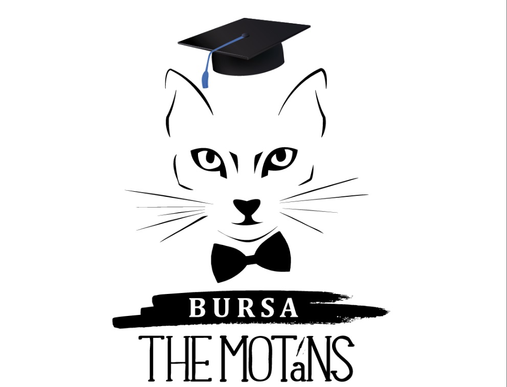 (foto) „Construim prezentul pentru a iubi și viitorul.” Bursa The Motans și-a desemnat câștigătorii