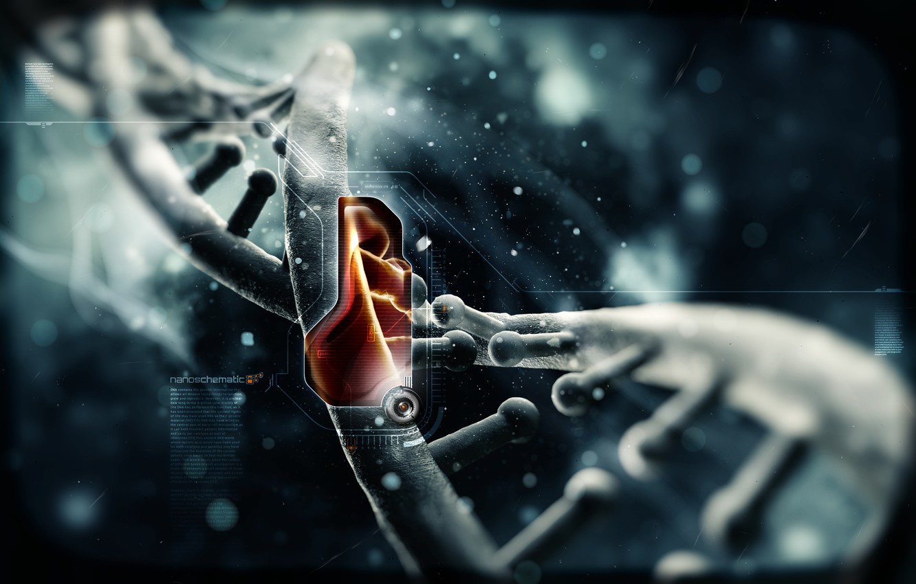 Tinerii din Moldova pot participa la o școală de toamnă gratuită despre nanotehnologii și inginerie biomedicală