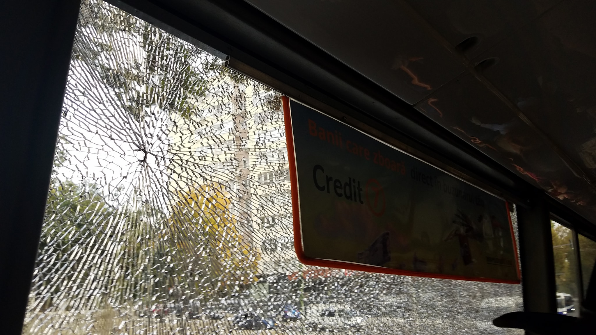 72121997_10211443831650679_694652127665979392_o