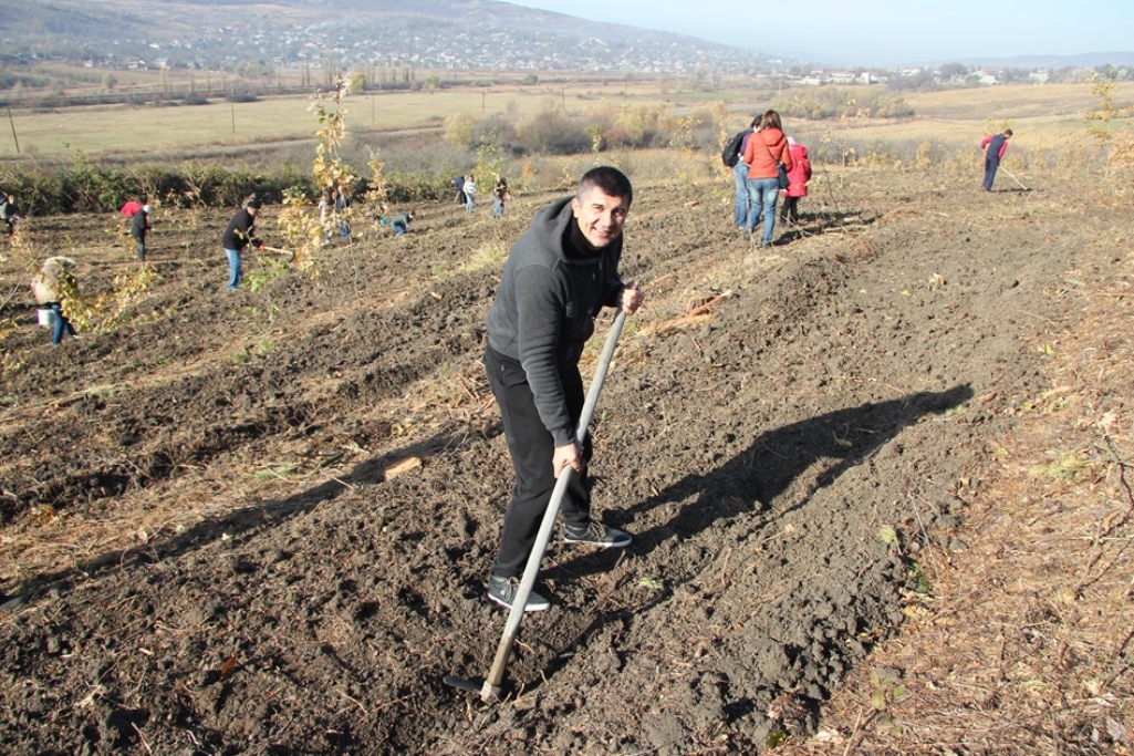 Astăzi se desfășoară o amplă acțiune de sădire a copacilor. Activiștii de mediu spun că e prea devreme