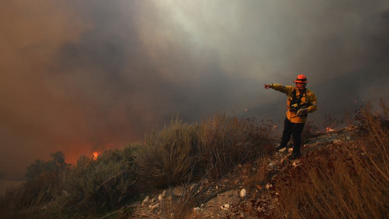 Zeci de mii de persoane au fost evacuate din cauza incendiilor de vegetație din Los Angeles