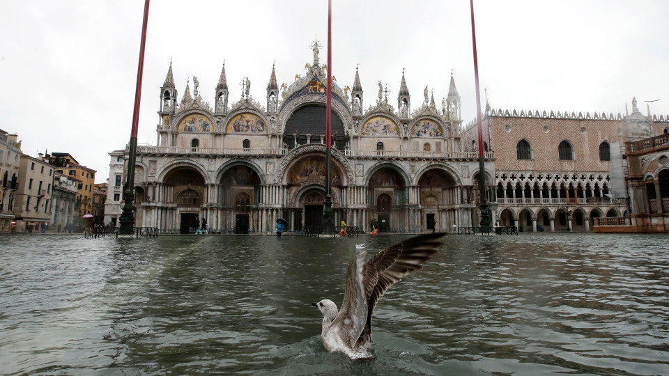 A seagull flies off the water in a flooded St.Mark Square, in Venice, Italy, Tuesday, Nov. 12, 2019. The high tide reached a peak of 127cm (4.1ft) at 10:35am while an even higher level of 140cm(4.6ft) was predicted for later Tuesday evening. (AP Photo/Luca Bruno)