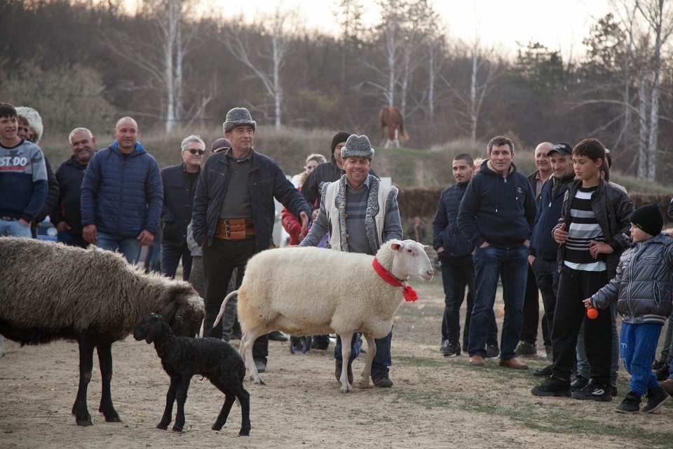 (foto) Au venit oaspeți din 10 țări. Cum s-a desfășurat Iarmarocul „Mioriță Laie-Bucălaie”, organizat la Cimișlia