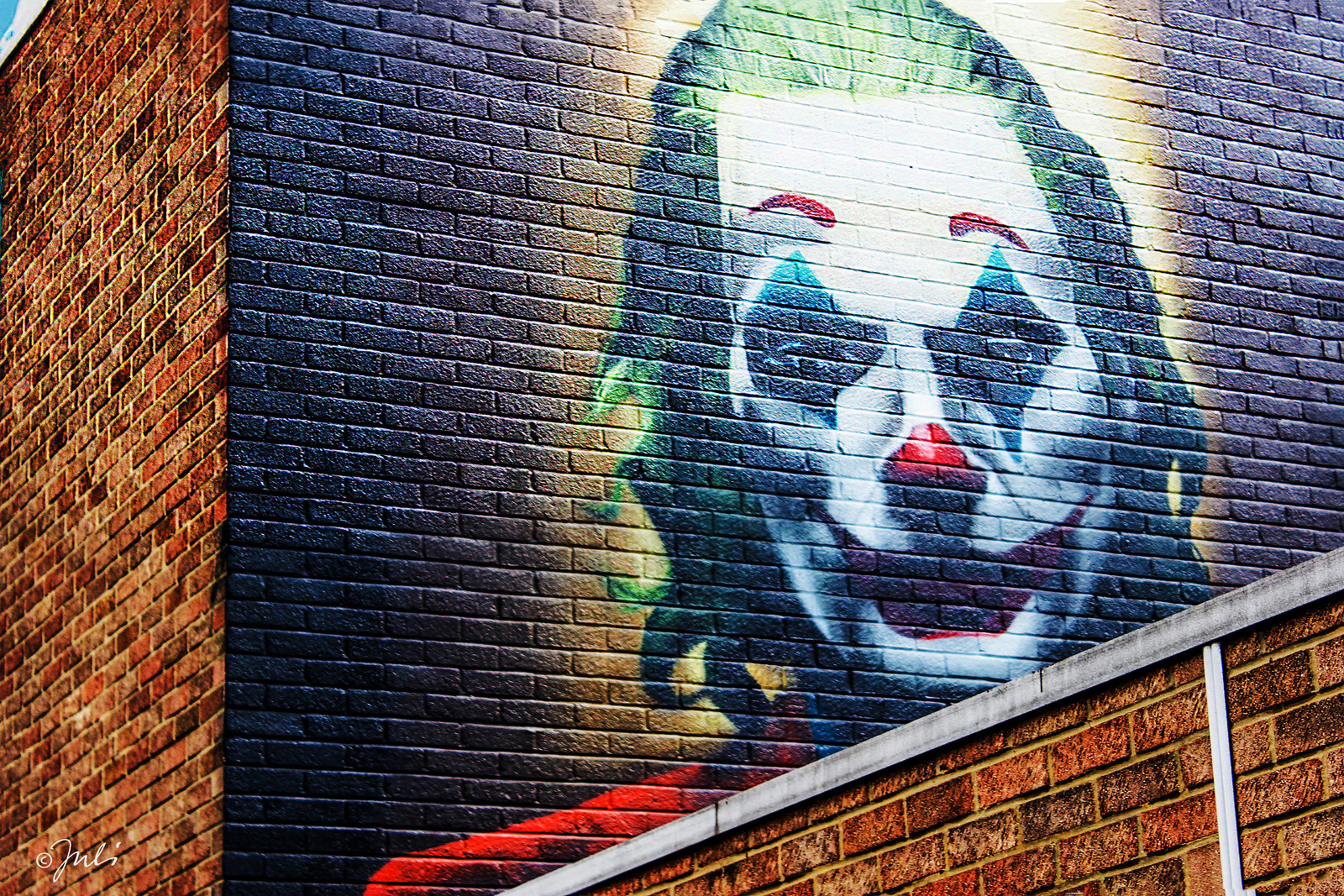 The Joker (Portrait)