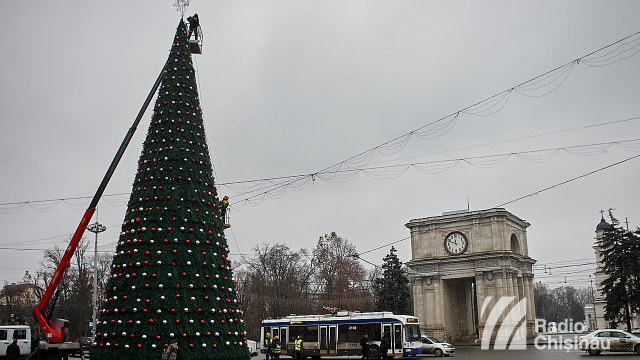 Povestea s-a terminat. Când va fi demontat bradul din PMAN