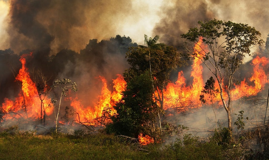 Incendiile din Pădurea Amazoniană s-au mărit cu 30 %, fiind detectate în jur de 89 de mii de focare în 2019