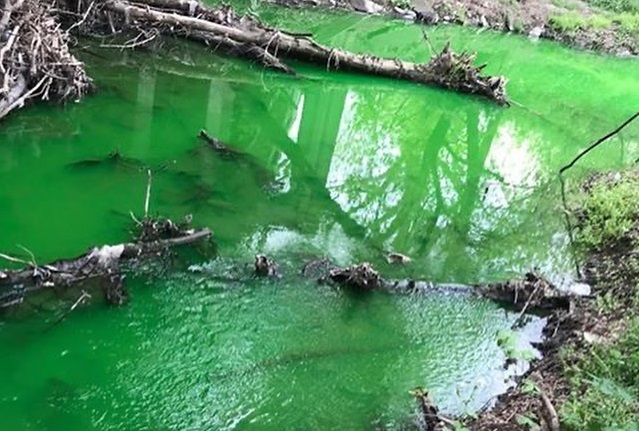 Apa din râul Bâc a căpătat culoare verde. Cum se explică acest lucru și ce spun autoritățile
