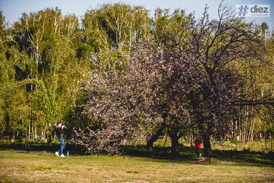 Grădina Botanică lansează o platformă de colectare de fonduri. Primul proiect din banii colectați va fi o zonă amenajată cu lalele