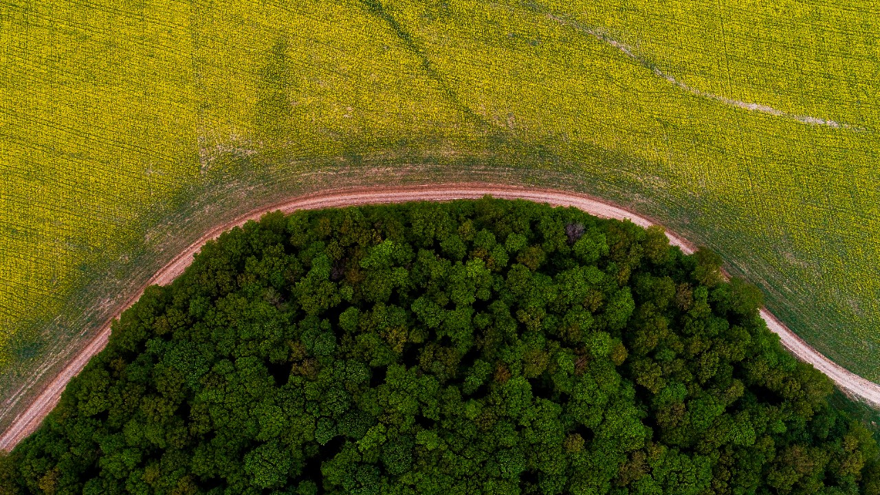 Moldova s-a angajat să reducă necondiționat către anul 2030 emisiile de gaze cu efect de seră, cu 70 % față de anul 1990