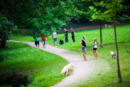 Ieșirea în parc se va permite doar în grupuri de maximum trei persoane și respectând distanța socială